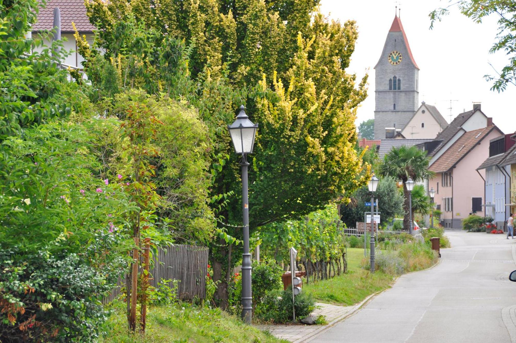 Ferienwohnung Auszeit Hagnau am Bodensee Exterior foto